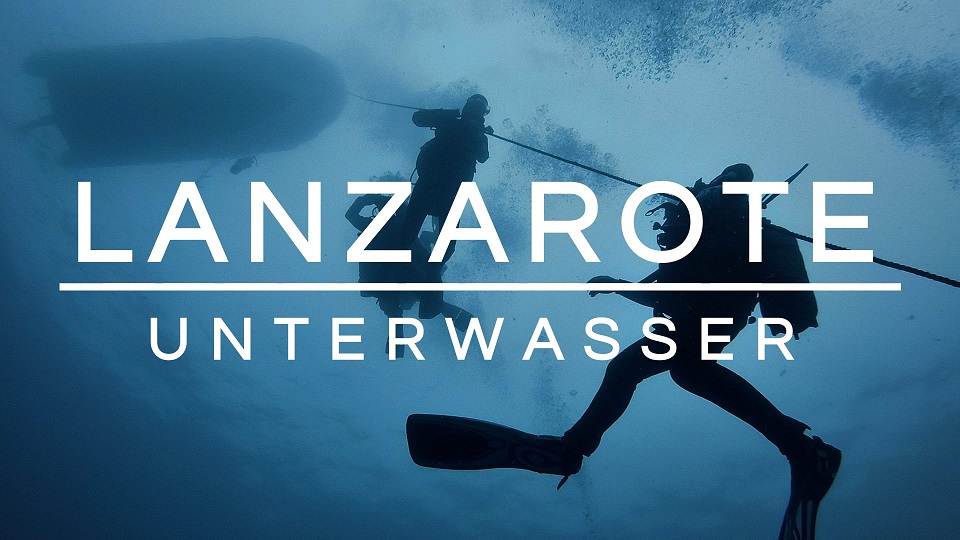 Mehr über den Artikel erfahren Schnorcheln und Tauchen auf Lanzarote | Playa Blanca