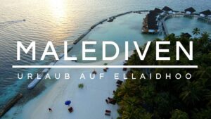 Read more about the article Malediven Urlaub | Ellaidhoo | Maldives by Cinnamon