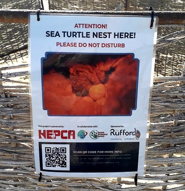 bu-dabbab-Strand-schildkröten-gelege