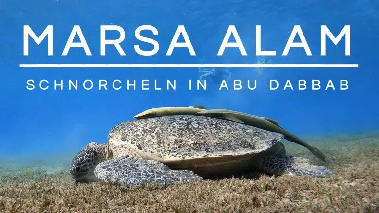 Mehr über den Artikel erfahren Ägypten: Schnorcheln in Abu Dabbab