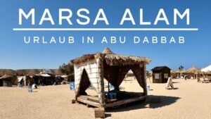 Read more about the article Ägypten Urlaub | Marsa Alam | Abu Dabbab Bay
