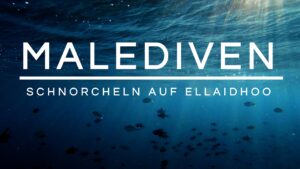 Read more about the article Schnorcheln auf den Malediven | Ellaidhoo | Hausriff