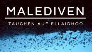 Read more about the article Tauchen auf den Malediven | „Dive&Sail“ auf Ellaidhoo