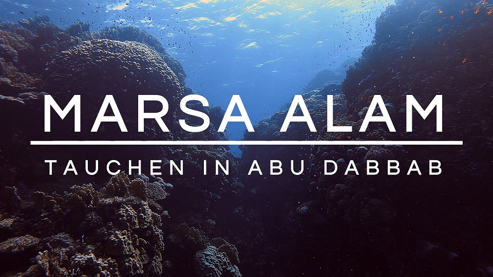 Mehr über den Artikel erfahren Tauchen in Marsa Alam / Abu Dabbab