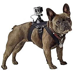gopro-zubehör-halterung-geschirr-für-hunde