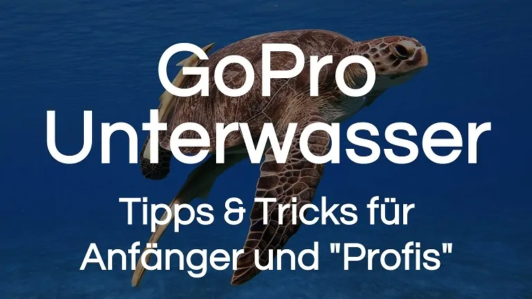 Mehr über den Artikel erfahren GoPro Unterwasser | Tipps für Anfänger und „Profis“