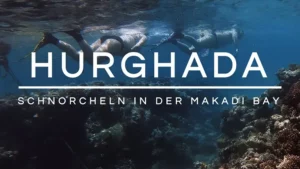 Read more about the article Schnorcheln in der Makadi Bay | Hurghada | Ägypten