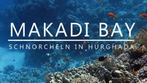 Mehr über den Artikel erfahren Schnorcheln in der Makadi Bay | Hurghada | Ägypten