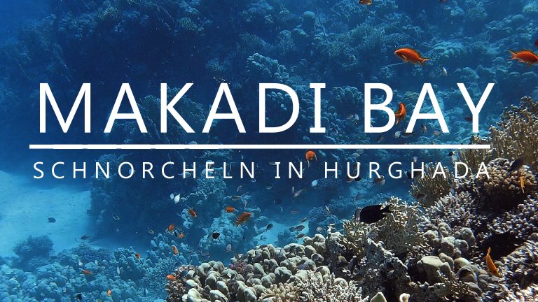 Mehr über den Artikel erfahren Schnorcheln in der Makadi Bay | Hurghada | Ägypten