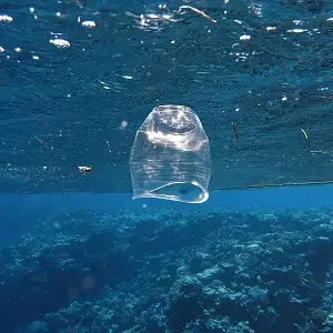 plastik-becher-im-meer