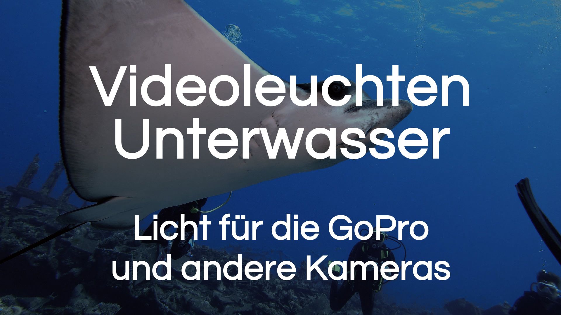 Mehr über den Artikel erfahren LED-Videoleuchten zum Filmen Unterwasser | Licht für die GoPro