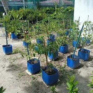 embudu-garten