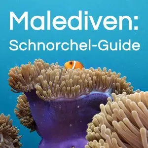 schnorchlen-auf-den-malediven-preview