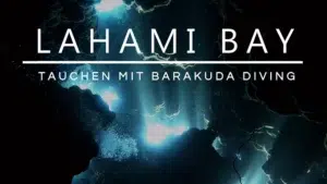 Mehr über den Artikel erfahren Lahami Bay: Tauchen mit Barakuda Diving