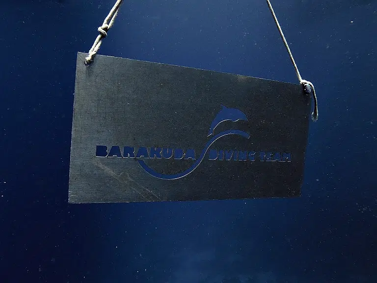 lahami-bay-tauchen-barakuda-diving