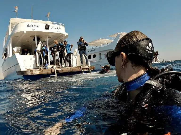 lahami-bay-tauchen-boot-barakuda-diving