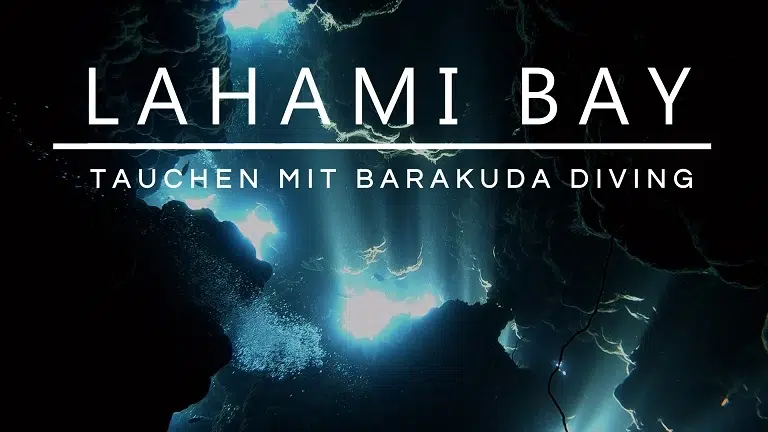 Mehr über den Artikel erfahren Lahami Bay: Tauchen mit Barakuda Diving