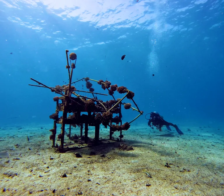 el-quseir-mövenpick-hausriff-extra-divers