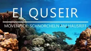 Read more about the article El Quseir: Schnorcheln am Hausriff vom Mövenpick Resort