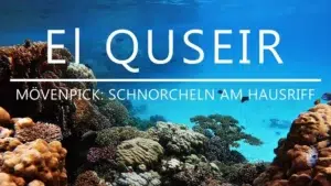 Mehr über den Artikel erfahren El Quseir: Schnorcheln am Hausriff vom Mövenpick Resort