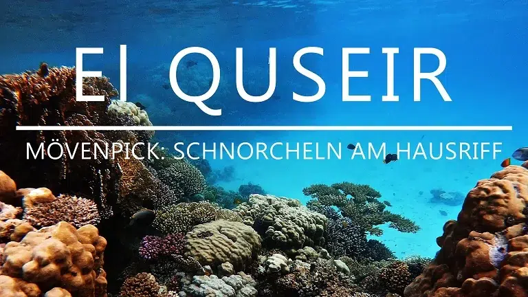 You are currently viewing El Quseir: Schnorcheln am Hausriff vom Mövenpick Resort