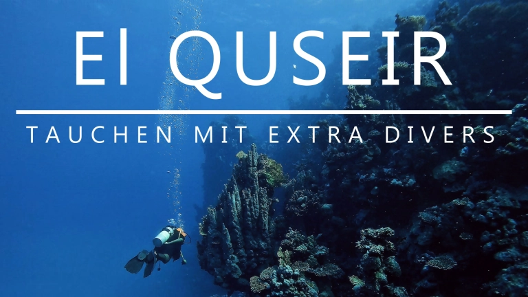 Mehr über den Artikel erfahren El Quseir: Tauchen mit „Extra Divers“