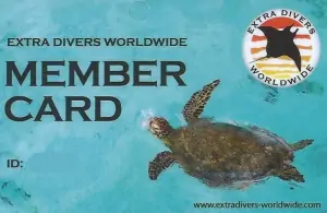 extra-divers-el-quseir-member-card-2