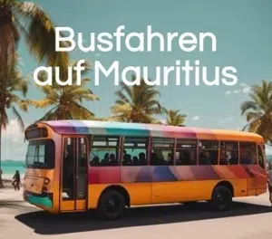 busfahren-mauritius