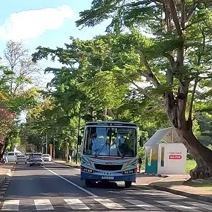 mauritius-mit-bus-haltestelle