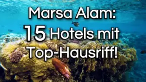 Mehr über den Artikel erfahren Marsa Alam: 15 Hotels mit Hausriff zum Schnorcheln & Tauchen!