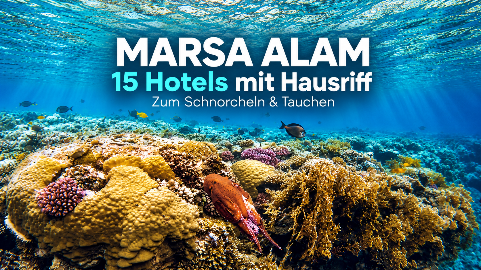 Mehr über den Artikel erfahren Marsa Alam: 15 Hotels mit Hausriff zum Schnorcheln & Tauchen!