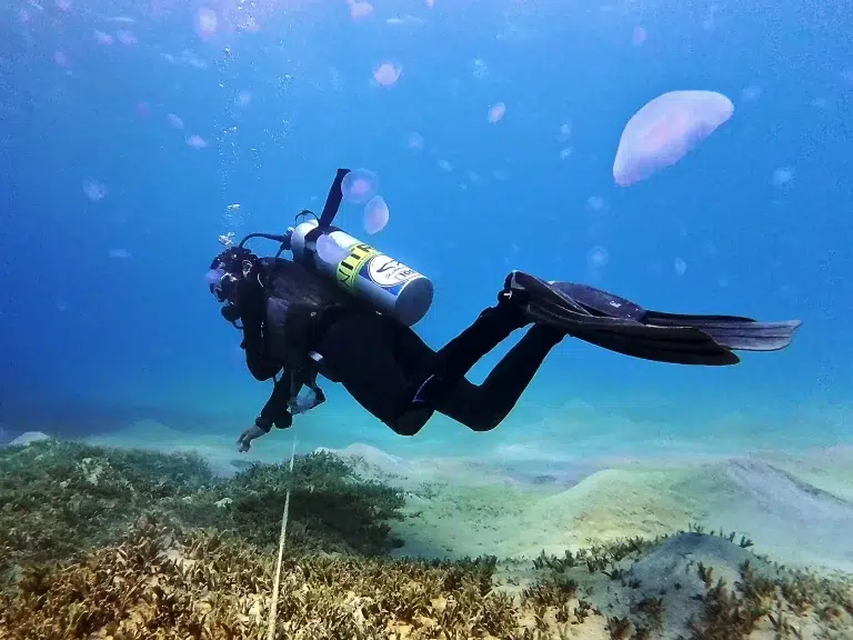 Scuba-World-Makadi-Bay-Hausriff-tauchen-2
