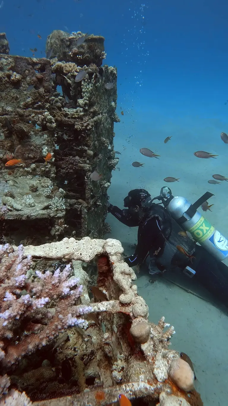 Scuba-World-Makadi-Bay-künstliches-Riff-Lego-5