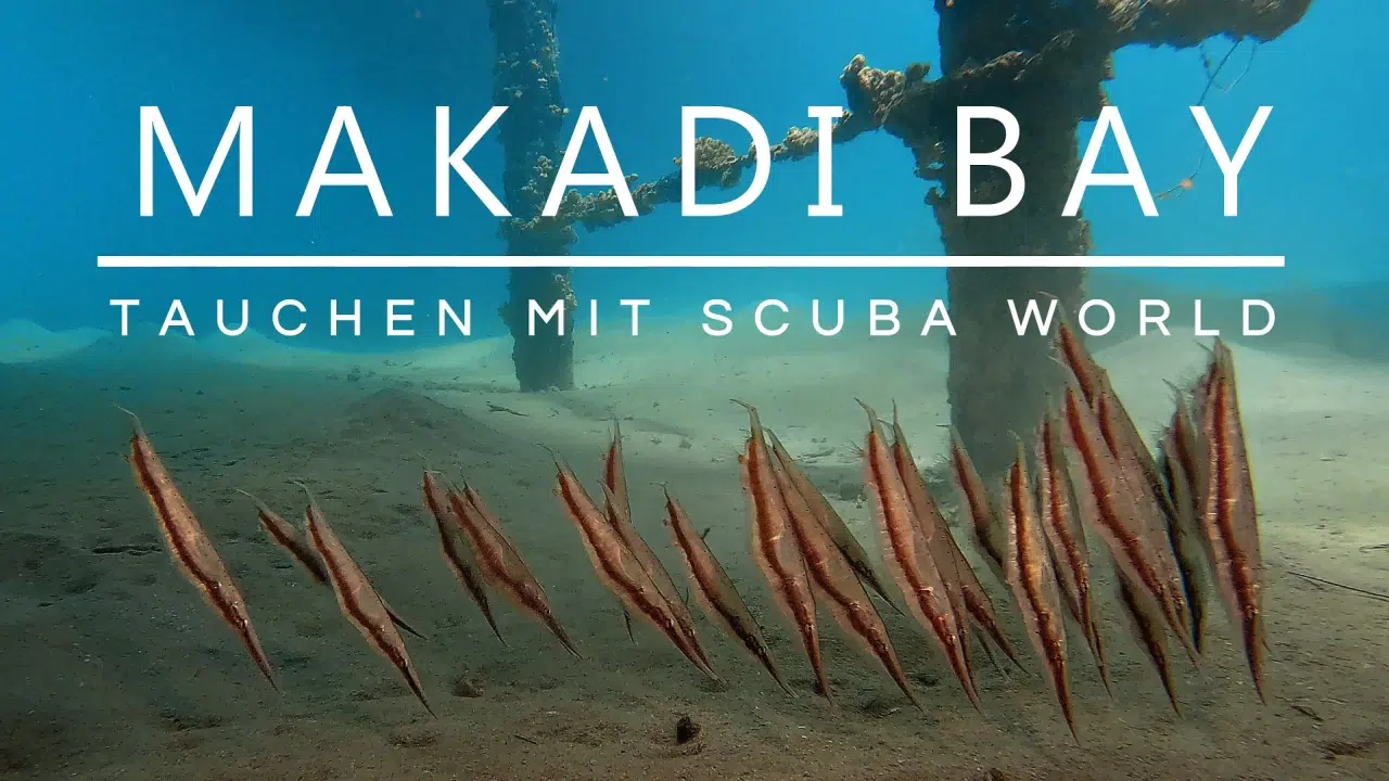 Du betrachtest gerade Makadi Bay: Abgetaucht mit Scuba World