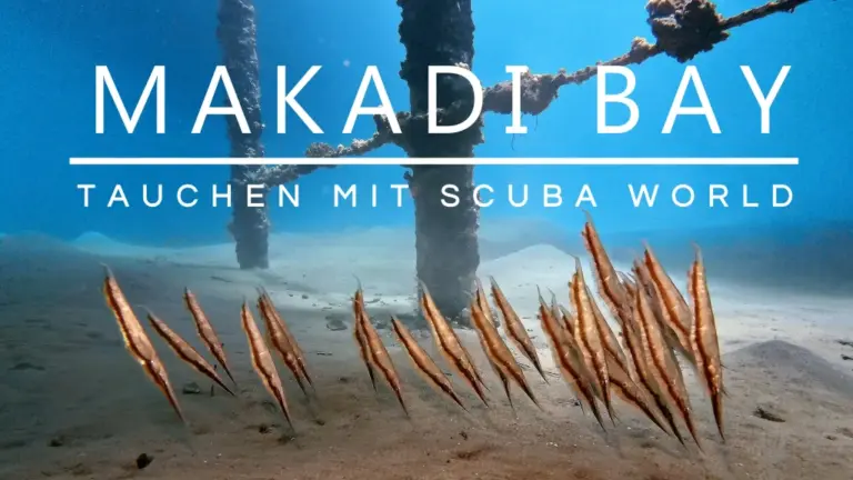 scuba-world-makadi-bay-1