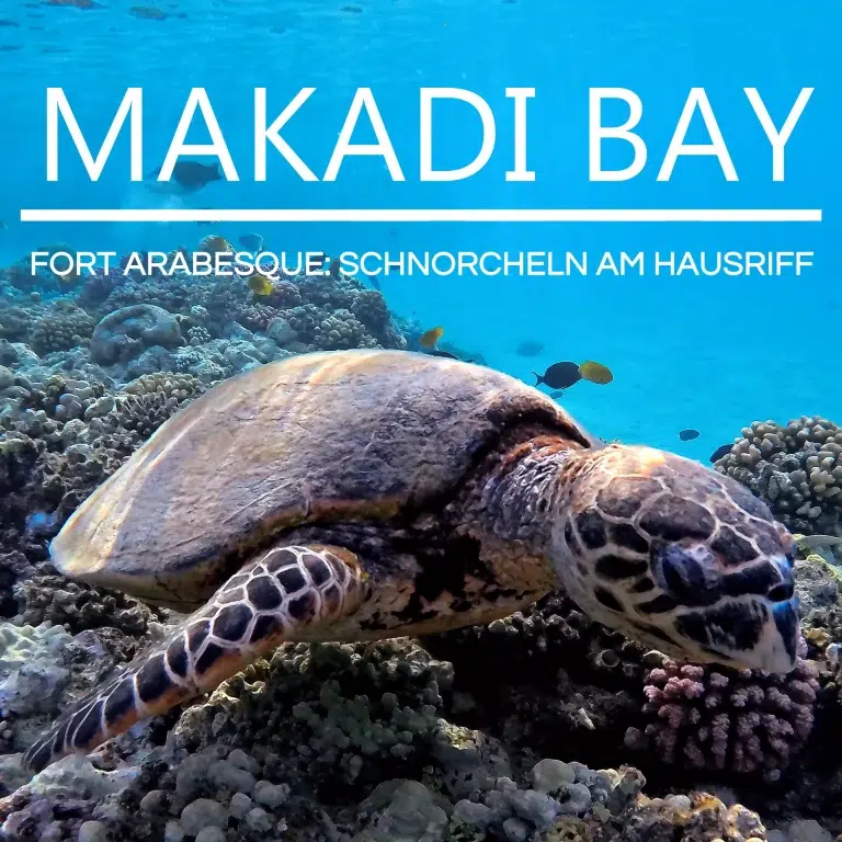 fort-arabesque-schnorcheln