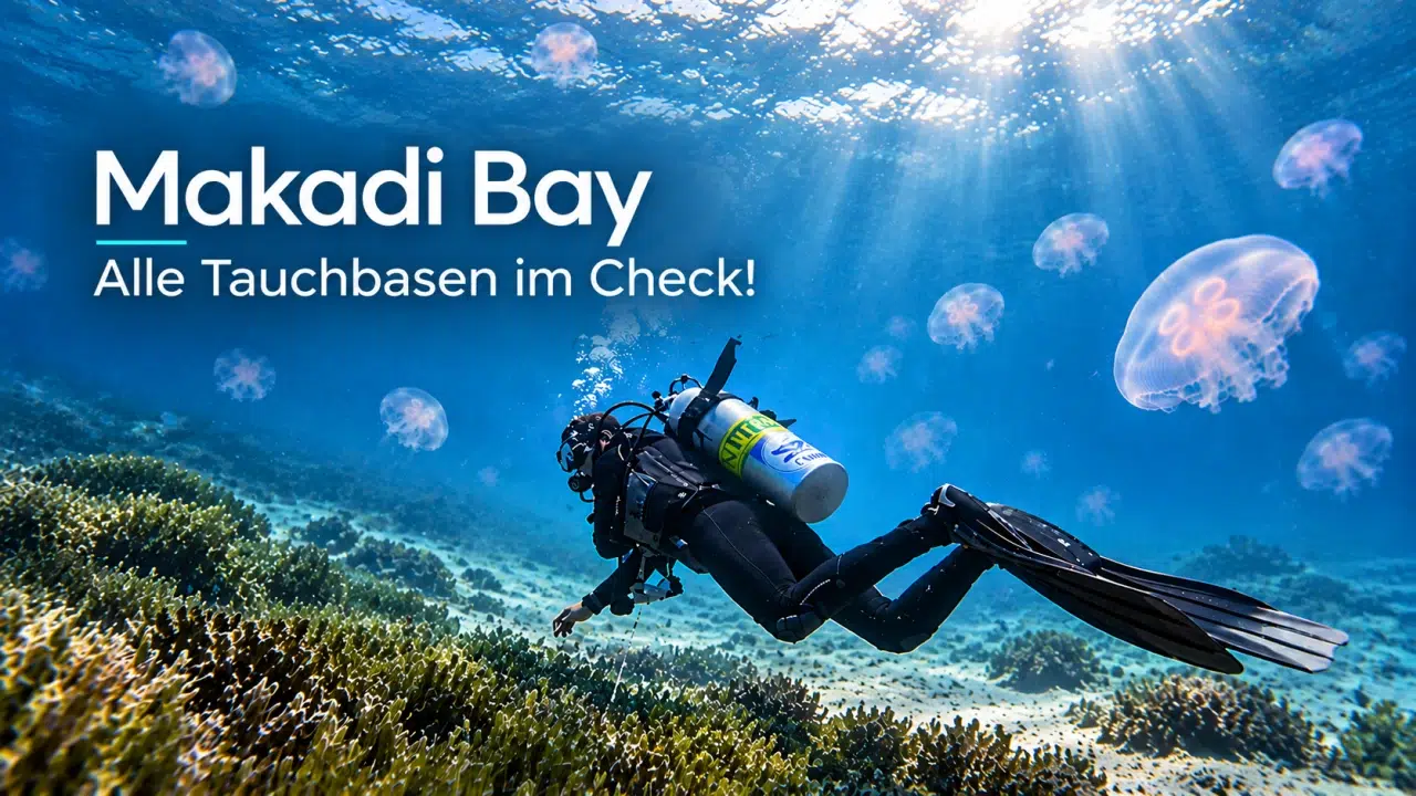 Mehr über den Artikel erfahren Info: Tauchen in Makadi Bay