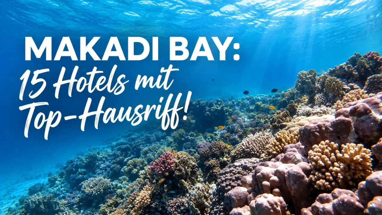 Mehr über den Artikel erfahren Makadi Bay: 15 Hotels mit Hausriff zum Schnorchlen und Tauchen