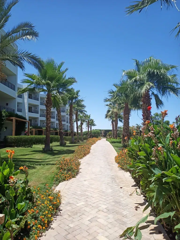 fort-arabesque-weg-mit-palmen