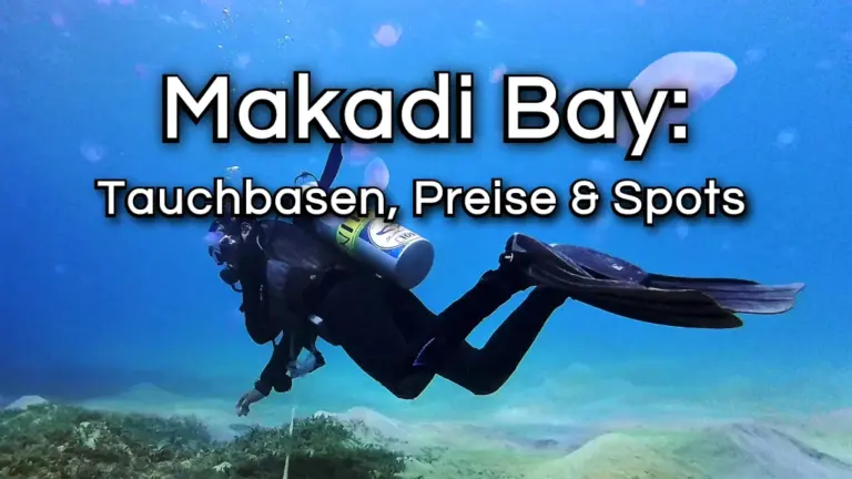 makadi-bay-tauchen-1