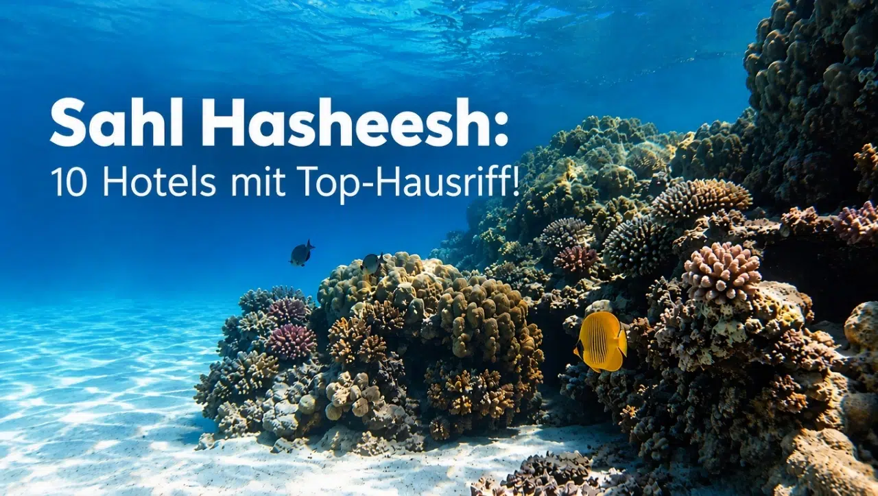 Mehr über den Artikel erfahren Sahl Hasheesh: 10 Hotels mit Hausriff zum Schnorcheln & Tauchen