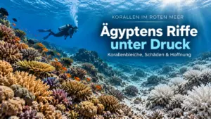 aegypten-korallen-rotes-meer-korallenbleiche-2026