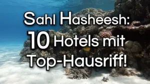 sahl-hasheesh-hotels-mit-hausriff-3