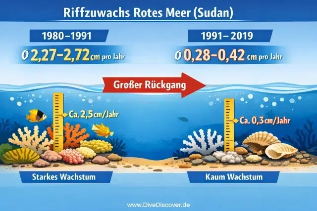Korallen im Roten Meer 2026: Ägyptens Riffe unter Druck